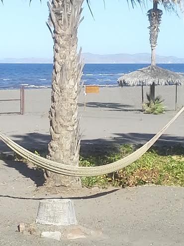 At the Oasis Hotel in Loreto