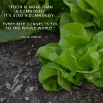 14523153_1511096605570799_1271383379461362383_n