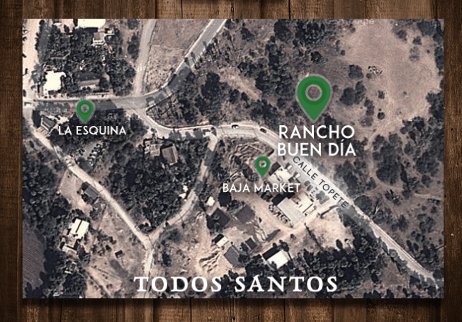 14671180_1527885073891952_6777143669841259985_n