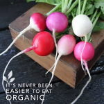 Rancho Buen Dia Todos Santos Organic&nbsp;Farm