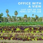 15202624_1584905614856564_1391154910454097966_n