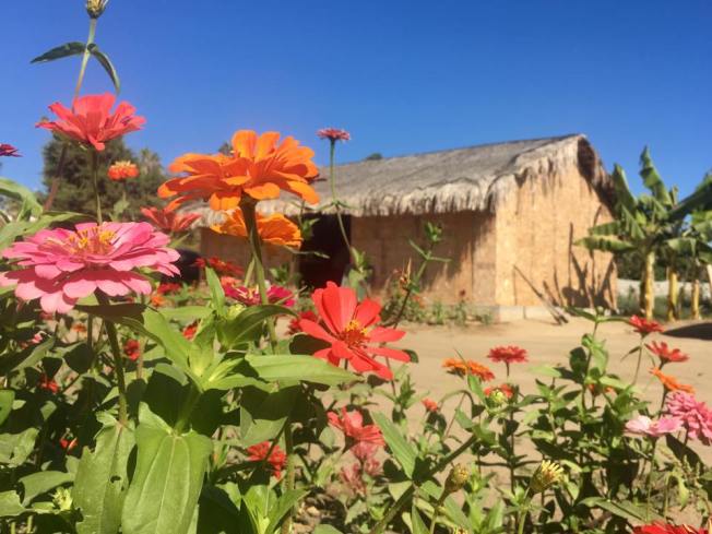 15380293_1601530536527405_7623918540205373888_n