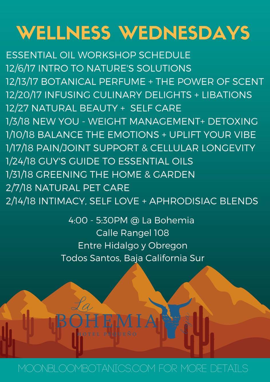 24726329_1771114539566684_1643988369_o