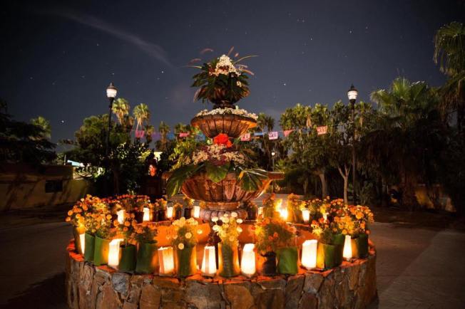 26047418_1528973473883383_8337201613875380525_n