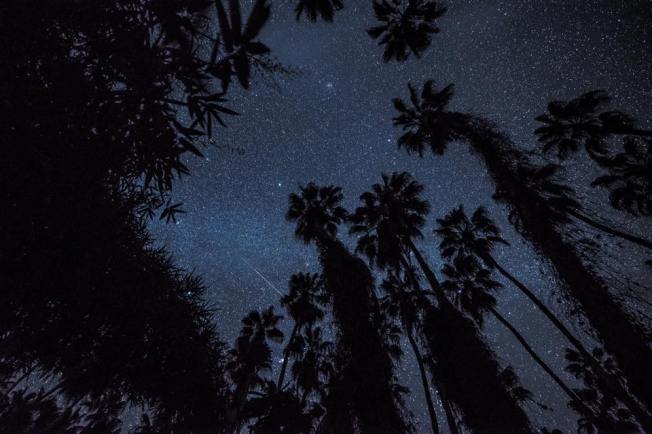 26239159_1544538695660194_8149404569469286824_n