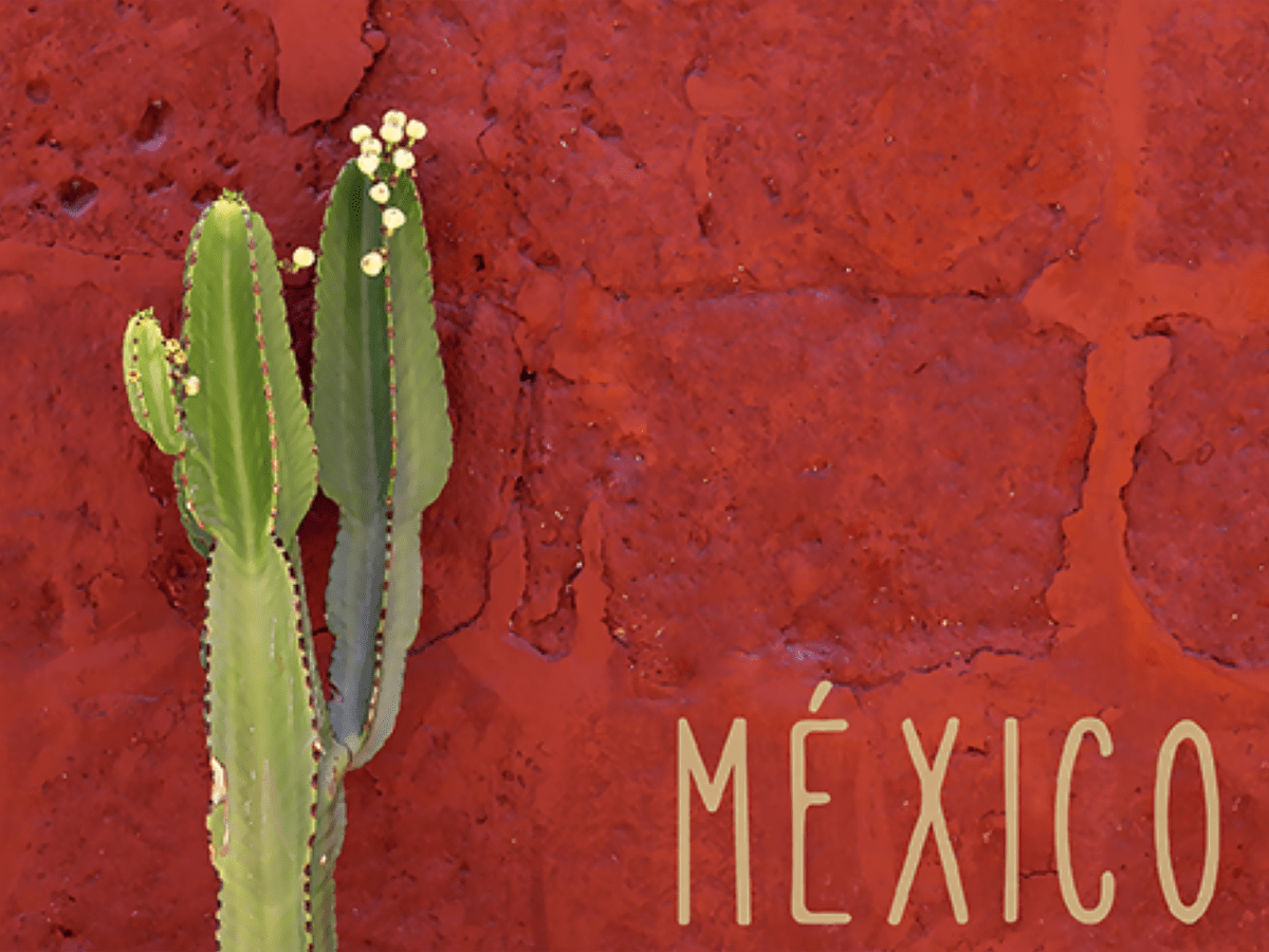 Todos Santos Hotels & Hideaways travel&nbsp;guide