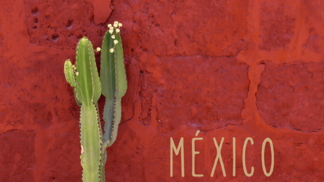 Todos Santos Hotels & Hideaways travel&nbsp;guide